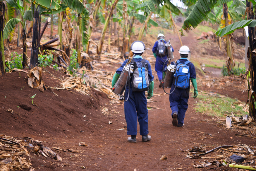 Saving lives with new insecticides to fight malaria — a photo story. (en anglais seulement)